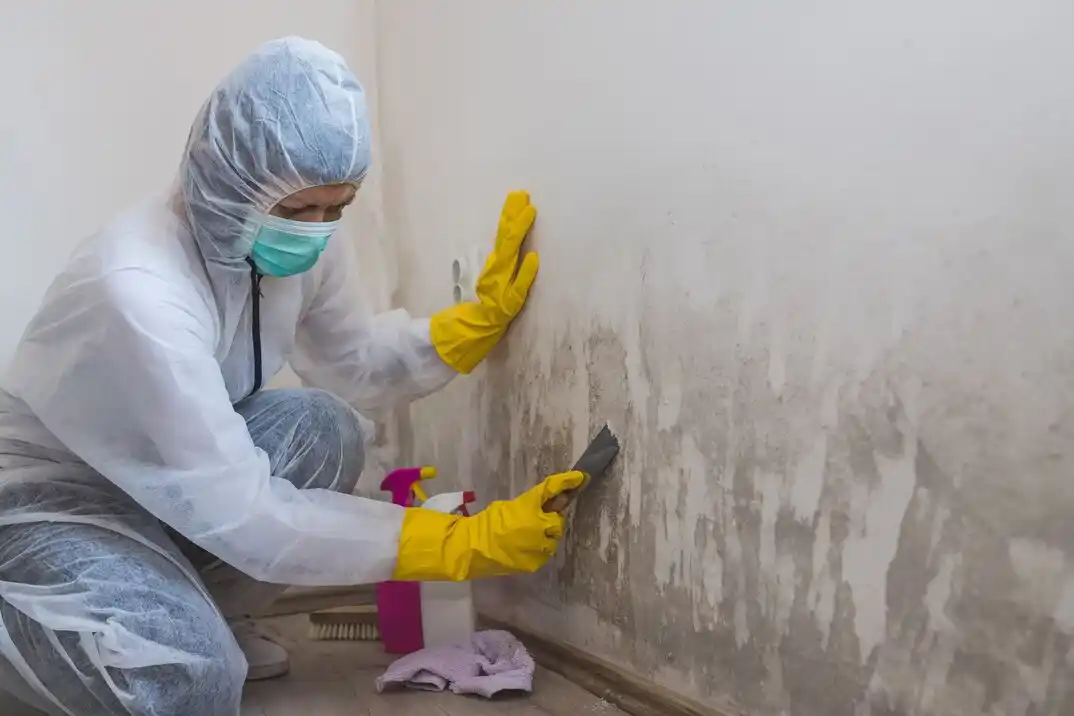 water damage restoration service Tompkinsville